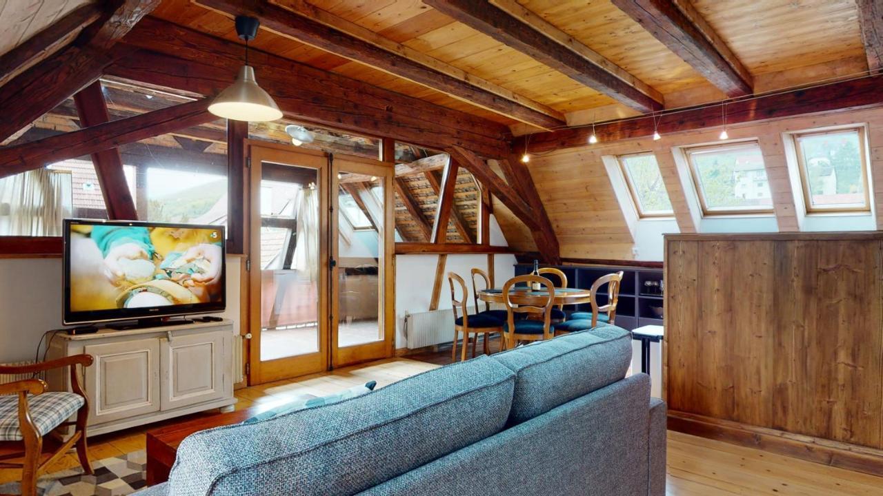 Les Appartements Manala - Turckheim Extérieur photo